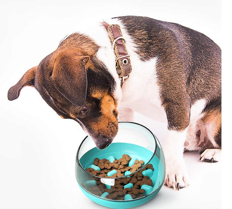 Pet Slow Food Bowl, Cat And Dog Entertainment And Play